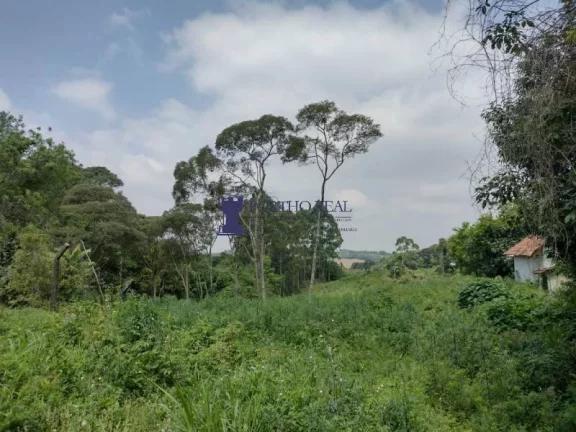 Imagem ÁREA RESIDENCIAL COM 10.000M²