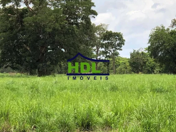 Imagem FAZENDA COM 1.180 ALQS ARAGUIANA MT