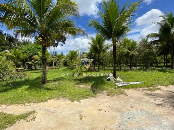Imagem SITIO RURAL em SANTA CRUZ CABRÁLIA - BA, BR 367