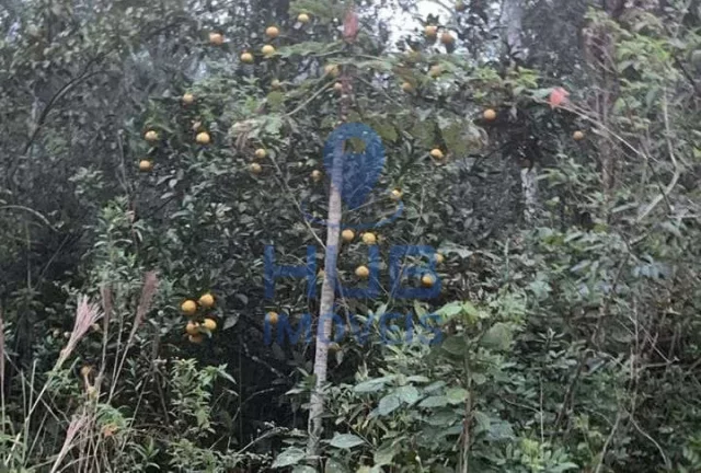 Imagem Sítio à venda, Anitápolis, Anitápolis, SC