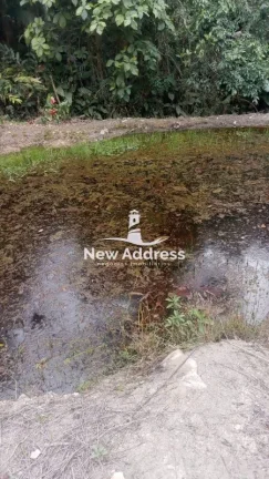 Imagem Terreno com 11.500 m², Platô Pronto, Lago e Nascente à Venda em Domingos Martins