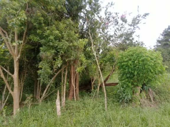 Imagem Área à venda, 1350 m² por R$ 350.000,00 - Chácaras Ceres - Suzano/SP