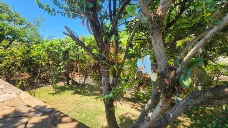 Imagem Chácara - Ribeirão Preto - Jardim Maria Goretti