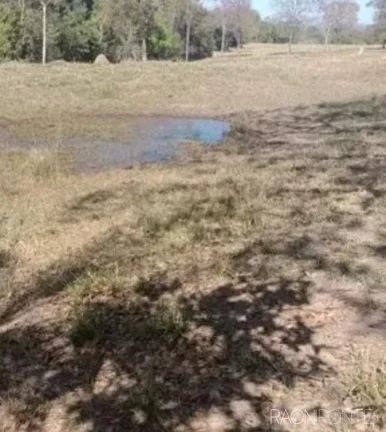Imagem Fazenda à Venda, 2.032.800 m² em Zona Rural - Guaraci