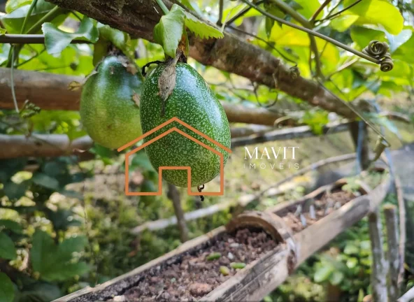 Imagem CHACARA RURAL em JOINVILLE - SC, SANTA CATARINA