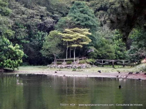 Imagem Cond. Jd. Mediterrâneo - lote! Central, plano e limpo! -Granja Viana