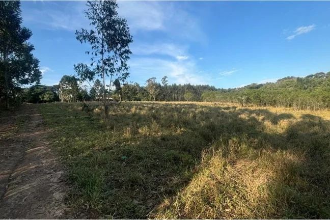 Imagem Fazenda/Sítio para venda no bairro Centro em Tapes
