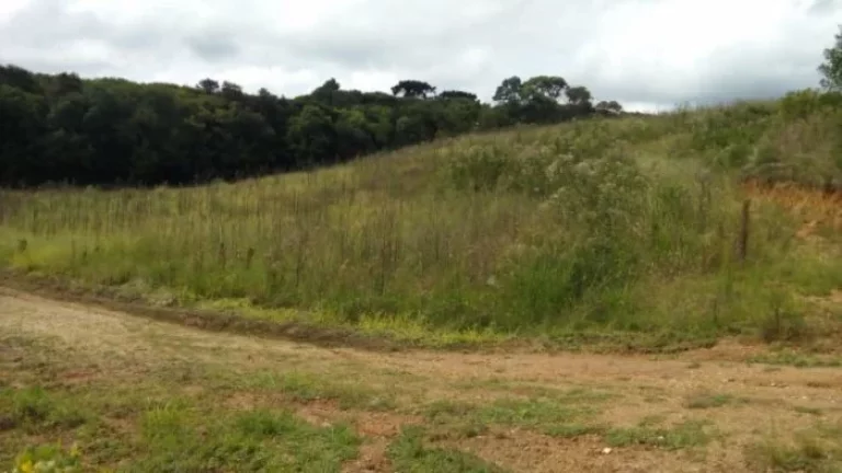Imagem Terreno em Campo Magro