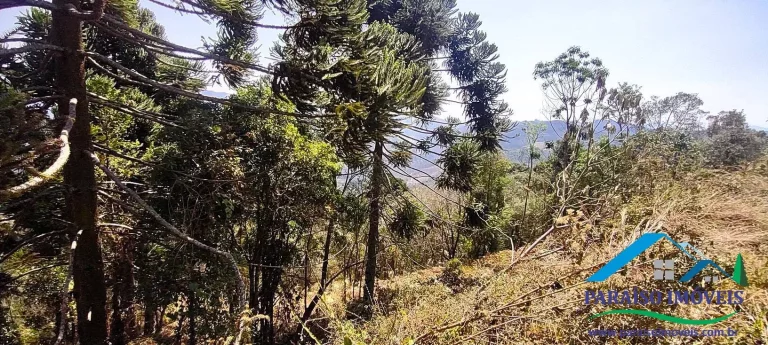 Imagem Terreno à venda no Bairro dos Venâncios, junto à Pedra do Barnabé