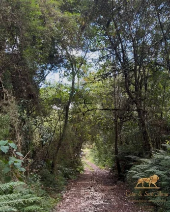 Imagem Terreno à Venda em Campos do Jordão – Oportunidade R$250.000,00