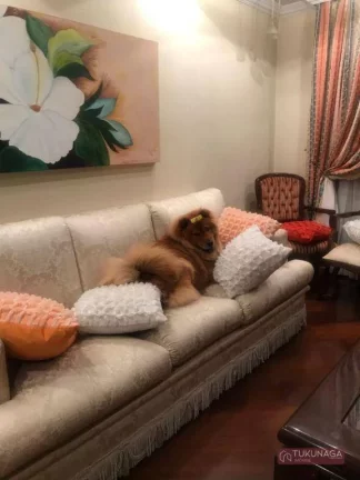 Imagem Apartamento com 4 dormitórios à venda, 220 m² por R$ 1.100.000,00 - Vila Galvão - Guarulhos/SP