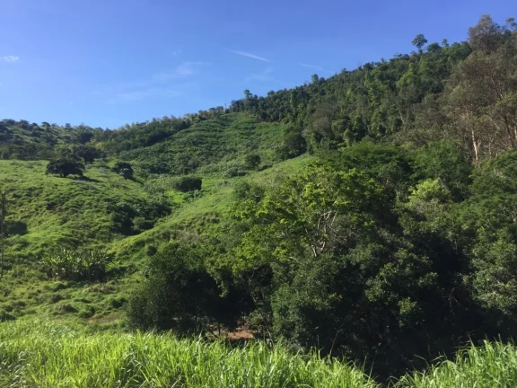Imagem FAZENDA RURAL em COLATINA - ES, ÁREA RURAL DE COLATINA