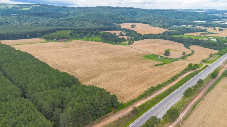 Imagem Sítio à venda na Lapa Paraná
