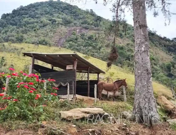 Imagem Fazenda à Venda, 70.000 m² em Sodrelândia - Trajano De Morais