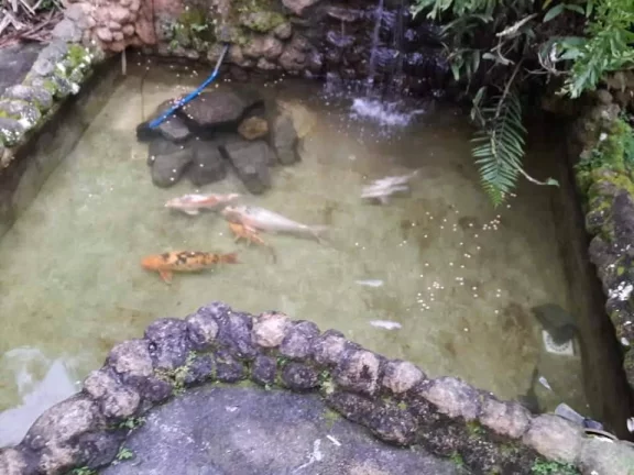 Imagem VENDO ESTA LINDA CASA EM NOVA FRIBURGO RJ. BAIRRO: PARQUE SÃO CLEMENTE.