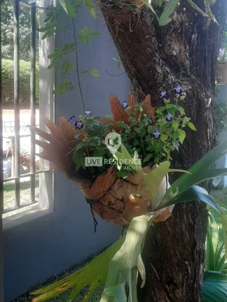 Imagem Chacará á venda Portal São Marcelo- Bragança Paulista -SP
