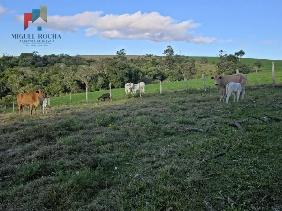 Imagem Fazenda em Itapetininga SP