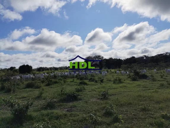 Imagem Fazenda especial 298 Alqs Cocalinho MT faz permuta prox a Goiânia