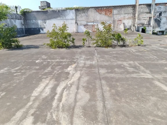 Imagem Galpão para Venda em Rio de Janeiro, Caju, 5 banheiros, 99 vagas