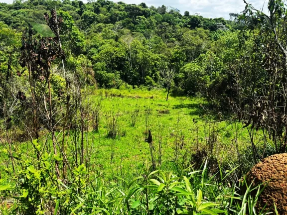 Imagem Chácara com 2 Quartos à Venda, 36.000 m² em Sabaúna - Mogi Das Cruzes