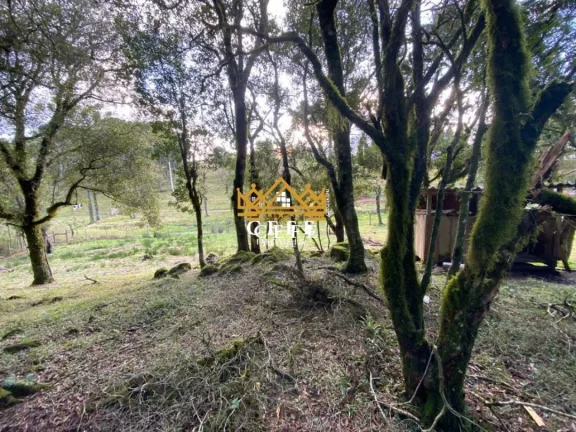 Imagem Chácara - Sítio com 1 Dormitorio(s) localizado(a) no bairro Serra Grande em Igrejinha / RIO GRANDE DO SUL Ref.:1388