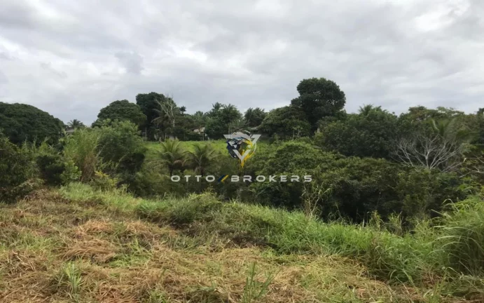 Imagem AREA RESIDENCIAL em SANTA CRUZ CABRÁLIA - BA, TÂNIA