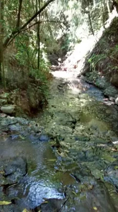 Imagem Propriedade Rural de 10 Mil Metros em Morro do Alto, Itapetininga - SP