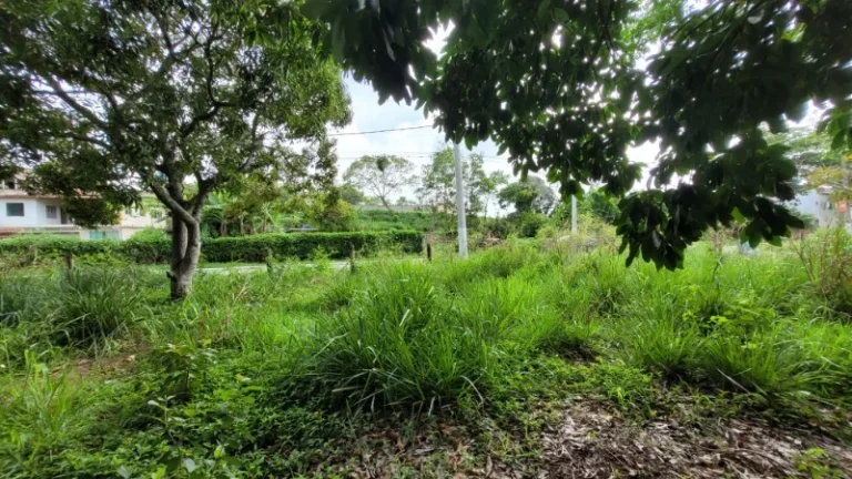 Imagem TERRENO RESIDENCIAL em SERRA - ES, ENSEADA DE JACARAÍPE