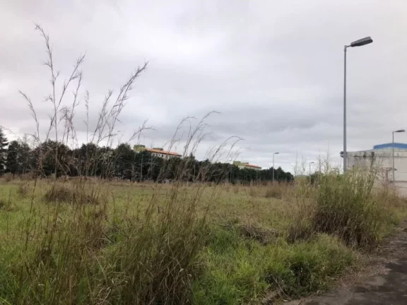 Imagem VENDA OU LOCAÇÃO DE COMPLEXO EMPRESARIAL NA VIA DUTRA - CAÇAPAVA