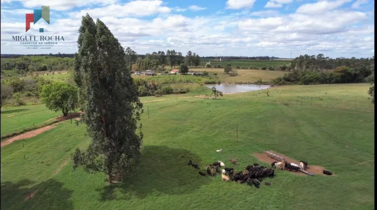 Imagem Fazenda á venda em Avaré SP