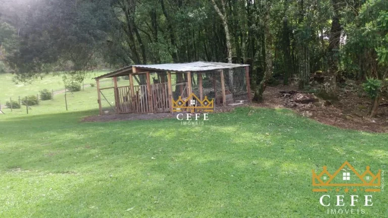 Imagem Chácara - Sítio com 3 Dormitorio(s) localizado(a) no bairro Padre Eterno Ilges em Santa Maria do Herval / RIO GRANDE DO SUL Ref.:1014