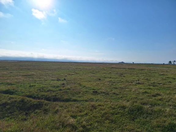 Imagem Excelente Área de 130 Hectares para Cultivo de Arroz – Viamão/RS