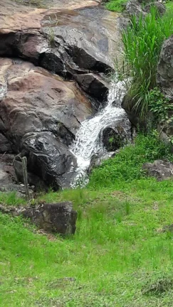 Imagem VENDO FAZENDA FICA A 25 KM DO CENTRO DE ANGRA 116 Hectares, MUITA ÁGUA