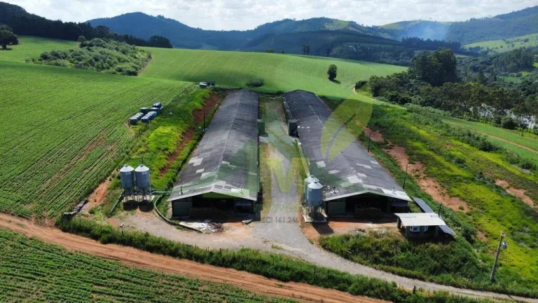 Imagem Fazenda com Diversas Aptidões em Bragança Paulista - SP com130 Alqueires