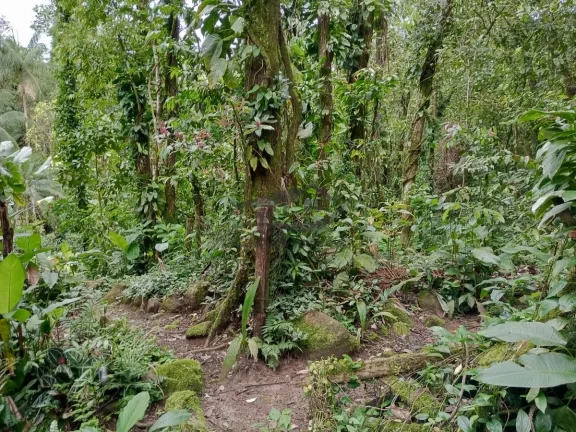 Imagem Casa no sertão de Barra do Una condomínio