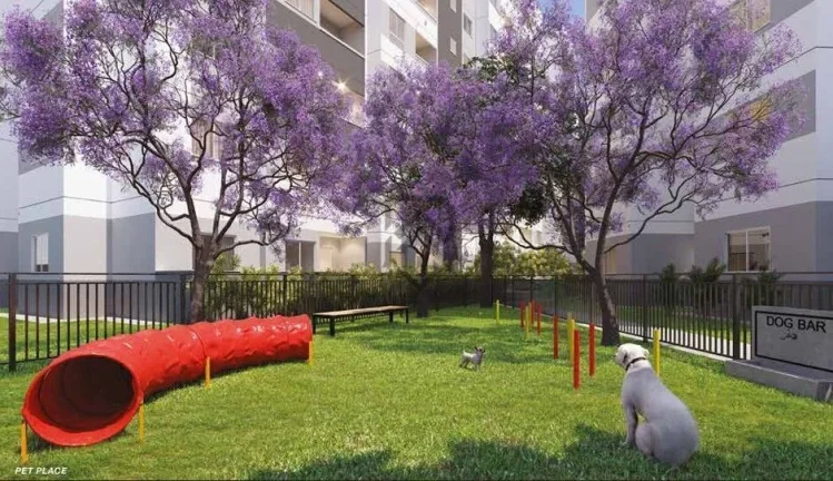 Imagem Apartamento Breve lançamento Minha casa minha vida