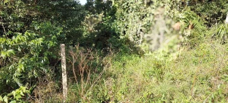 Imagem Chácara à venda em Campo Largo/PR