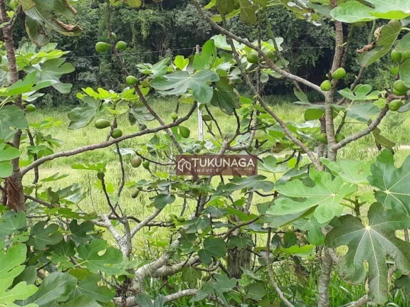 Imagem Sítio à venda, 82450 m² por R$ 1.100.000,00 - Pitangueiras - Pedra Bela/SP