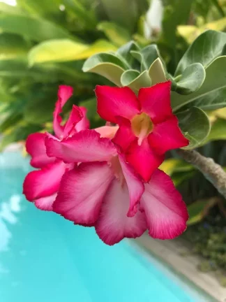 Imagem CASA NO OUTEIRO DAS BRISAS