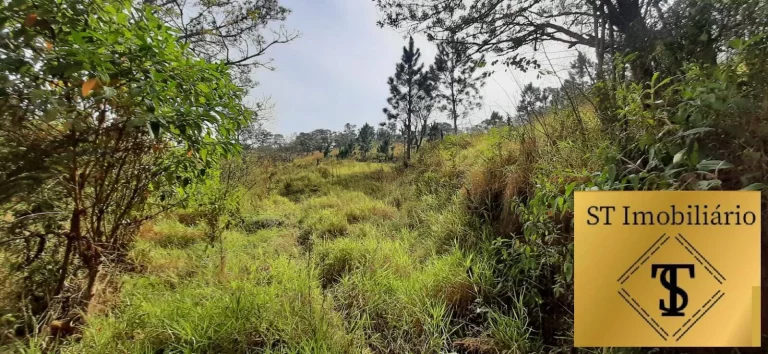 Imagem Sítio Atibaia Com 72.000 m² Bem Localizado