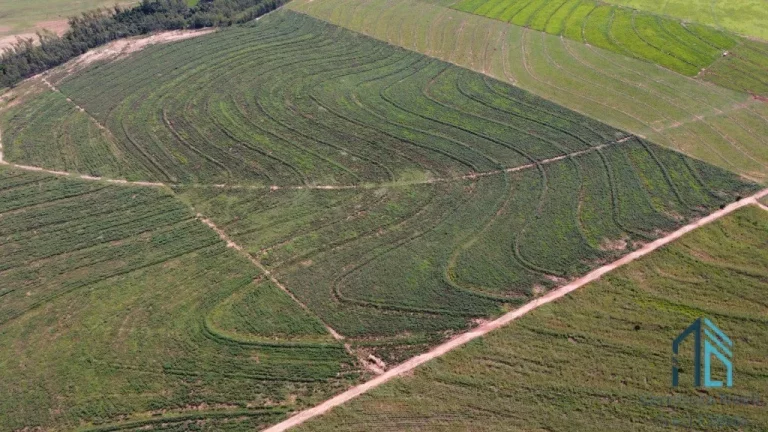Imagem Fazenda, excelente área rural 87.5 alqueires em Ivaté, próximo a Umuarama no Parana Pr