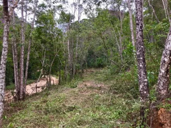 Imagem Sitio com ampla casa térrea com varanda ampla lateral.