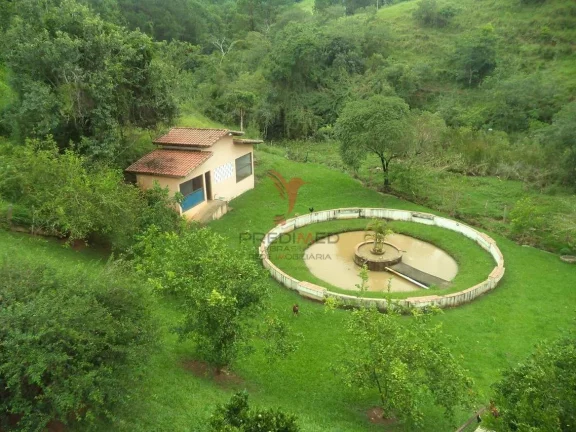 Imagem Sitio com bastante Água, represa, Lago, Piscina .Bairro Rio do Peixe, Guaratinguetá