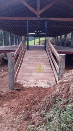 Imagem Área para lazer e ou cultivo venda, 730000 m² por R$ 4.000.000 - Zona Rural - Capitólio/MG