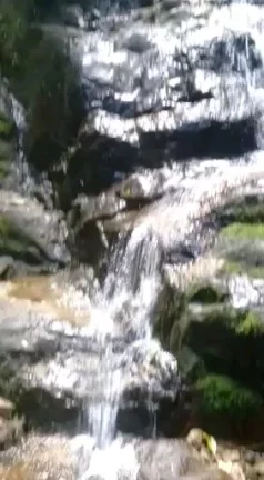 Imagem Terreno 30.000m² à Venda na Praia de Maresias - São Sebastião SP.