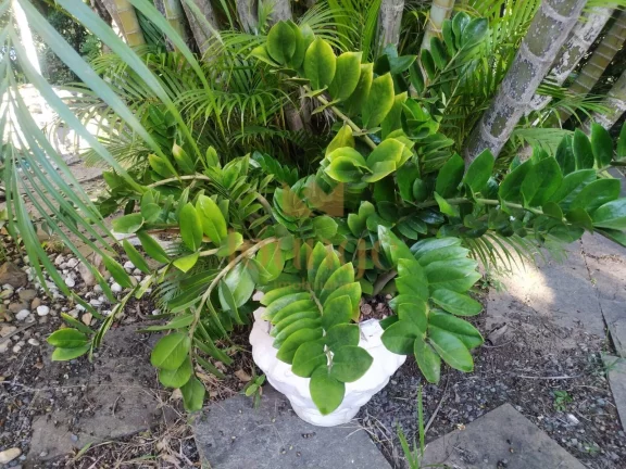 Imagem Casa à venda em Parque Campolim Zona Sul - Sorocaba/SP