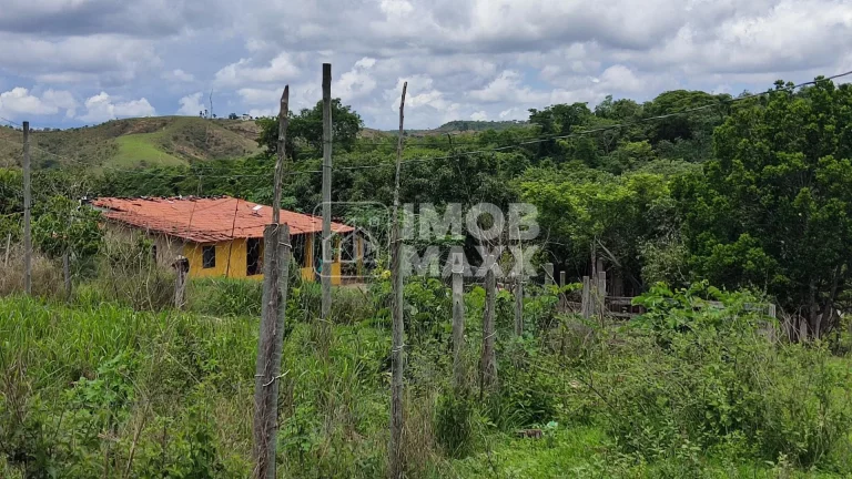 Imagem Chácara a venda 35 hectares - Formada - Nascente e Poço Artesiano - Rural - Paranoá - DF.