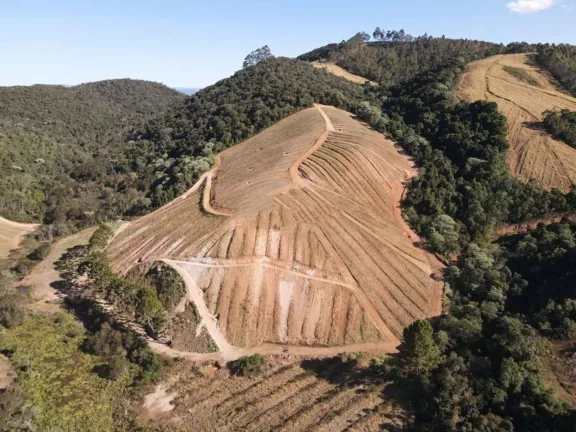 Imagem Fazenda à Venda, 4.463.400 m² em Zona Rural - Maria Da Fé