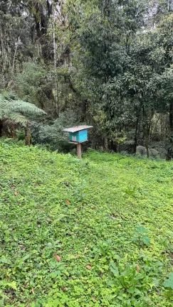 Imagem Chácara com 15.000 m² em Salto do Engenho | Campo Alegre/SC