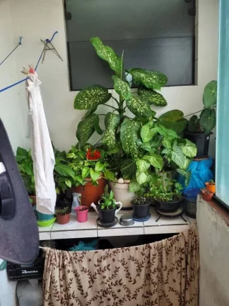 Imagem Apartamento padrão à Venda, Cerâmica, São Caetano do Sul, SP